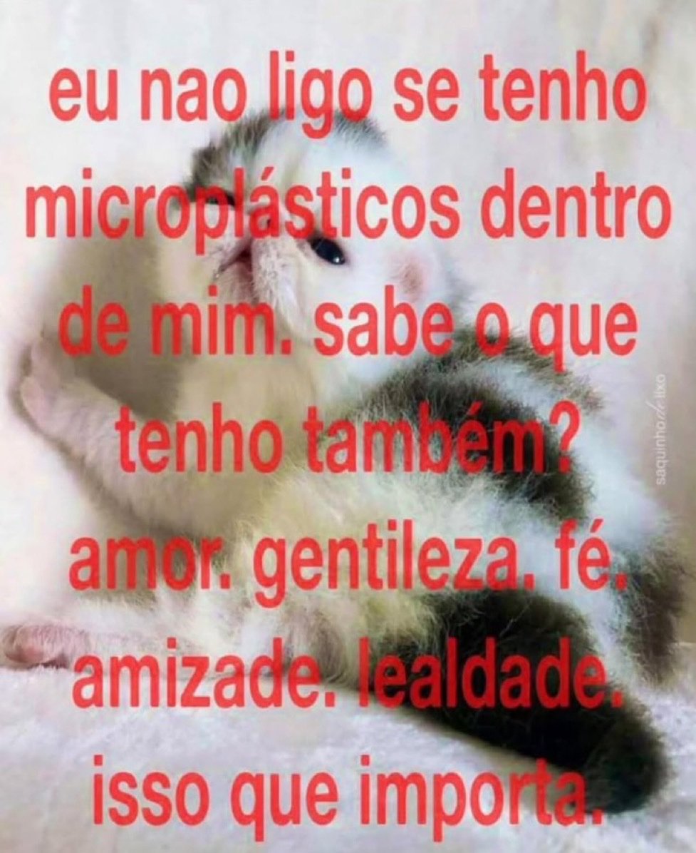 adaninvitro tweet picture