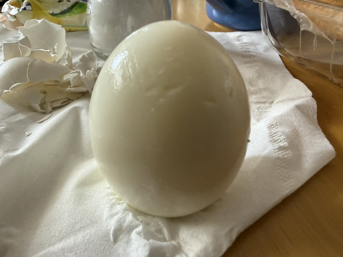 sakura_nya's tweet photo. ゆで卵食べようと殻剥いたんだけど
自立してる姿や
底があまりにもキレイに平らで
朝から笑撃を受けました。

『Standing Egg（2026）』

#StandingEgg2026
#立つゆで卵
#ゆで卵の肖像
#朝から笑った
#現代アート https://t.co/UnZipnqWlX