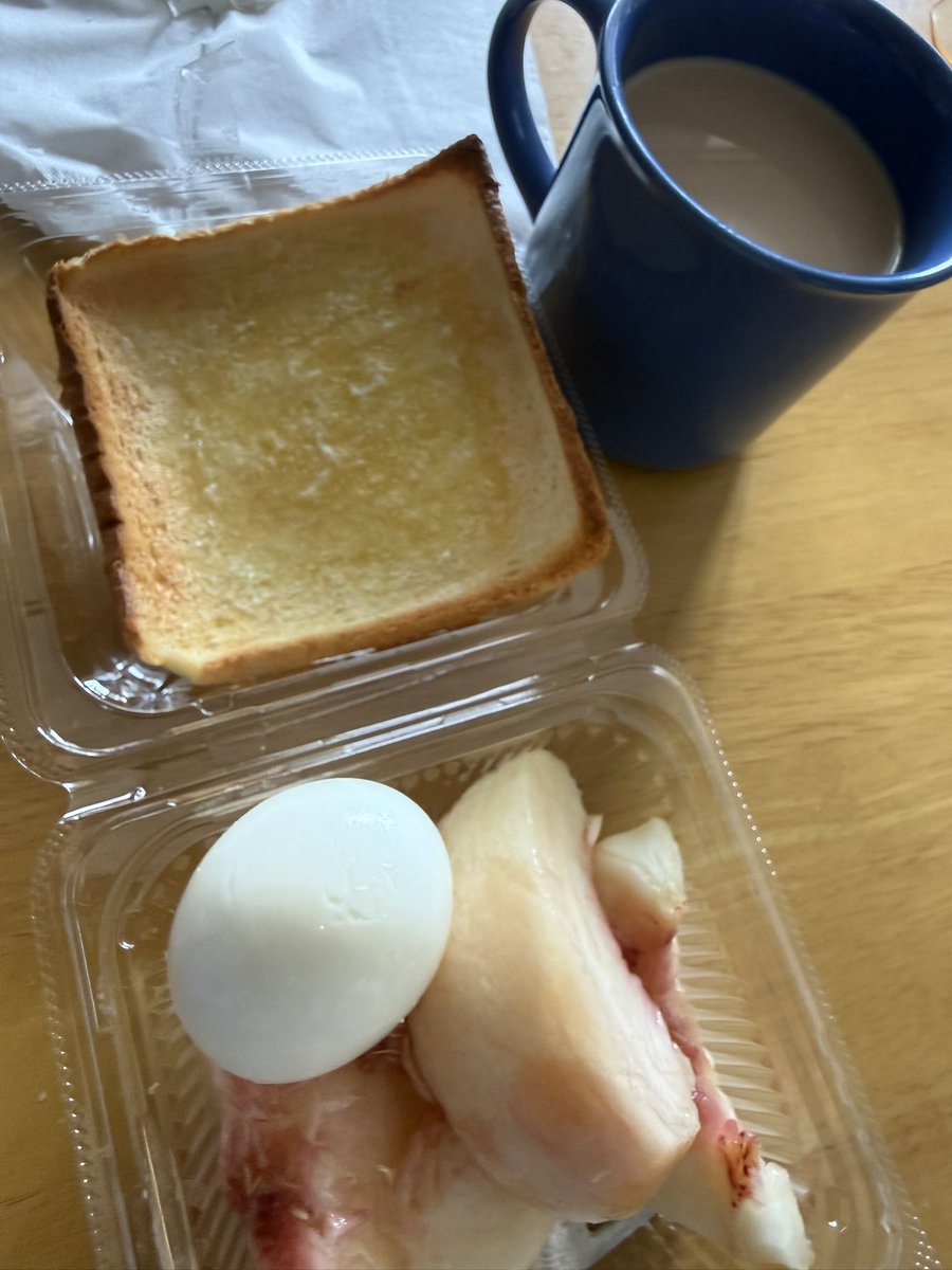 sakura_nya's tweet photo. ゆで卵食べようと殻剥いたんだけど
自立してる姿や
底があまりにもキレイに平らで
朝から笑撃を受けました。

『Standing Egg（2026）』

#StandingEgg2026
#立つゆで卵
#ゆで卵の肖像
#朝から笑った
#現代アート https://t.co/UnZipnqWlX