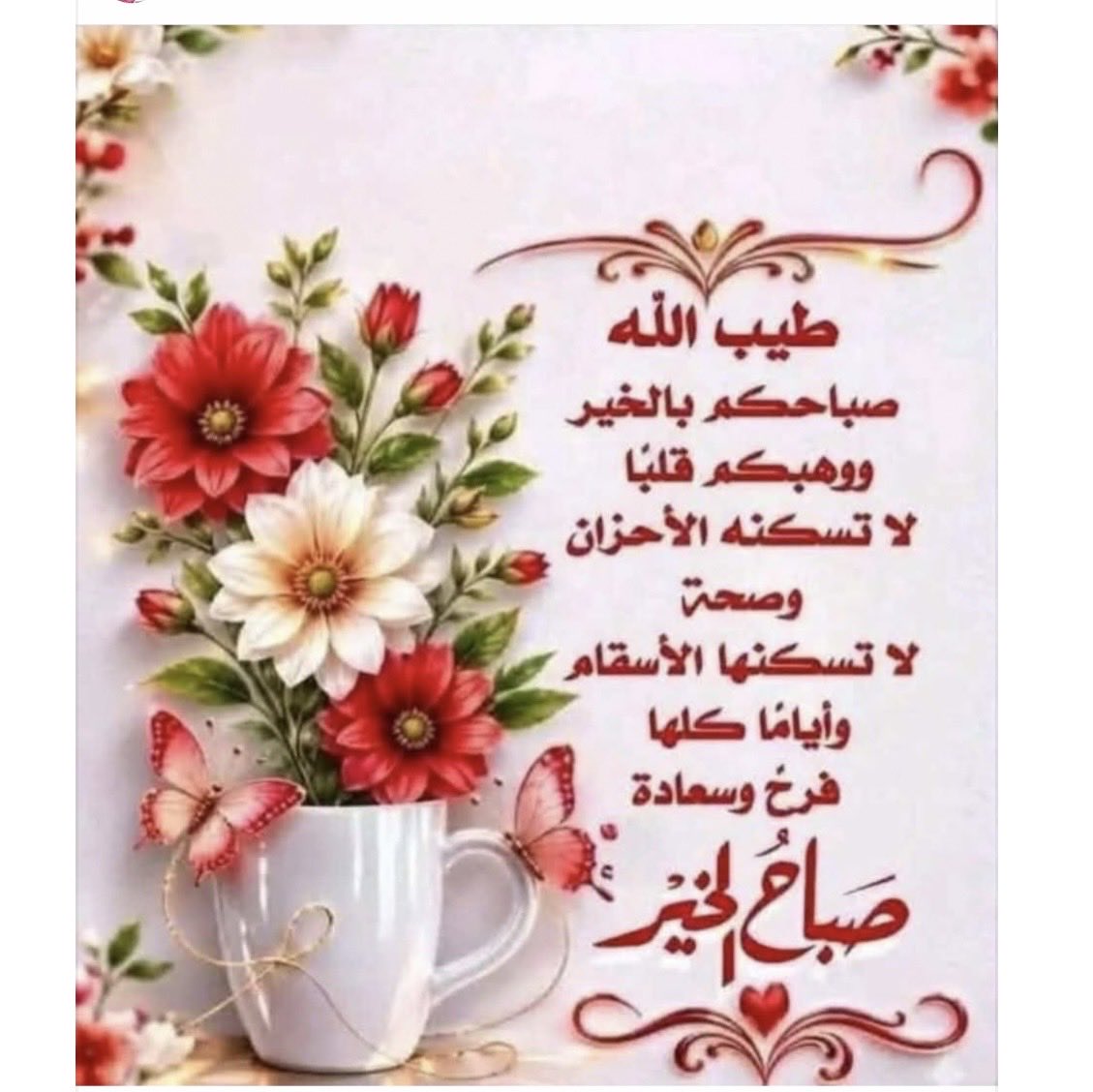 UmHasan_02's tweet photo. https://t.co/mmyoKtpXcu