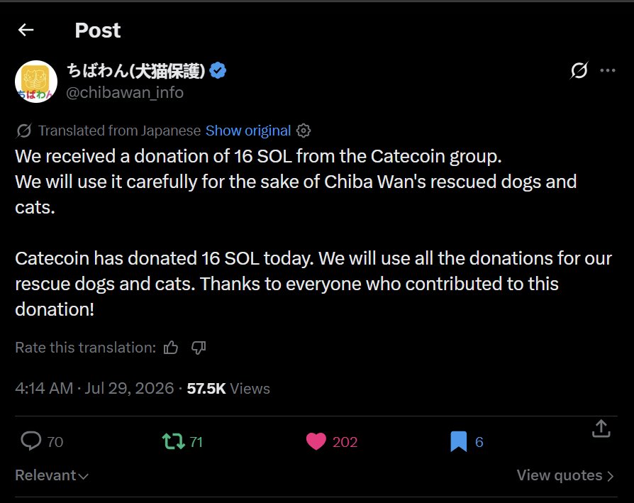 SMOKENSHIT's tweet photo. I don't know if this bundle $Cate understands that we are not their competitor, and we never wanted to be especially considering their entire narrative is built on LARP. Our narrative is timeless: 100% of the fees go directly to the foundation.

You're scared of a token sitting at 140K, scared enough to suspend the account by reporting it. Remember: we are not your beta play, and we never wanted to be. Your whole token is built on lies, larp, and bundle nonsense.

Our vision is different, and our path is different. @PoorGoat_ Focus on pushing your own token instead of trying to bring someone else down. 

I stick with real community, Cate

Ca: 6YCYaiuXQubALutWr1eJB8HZ9i72hpTKgAvjR6qzpump