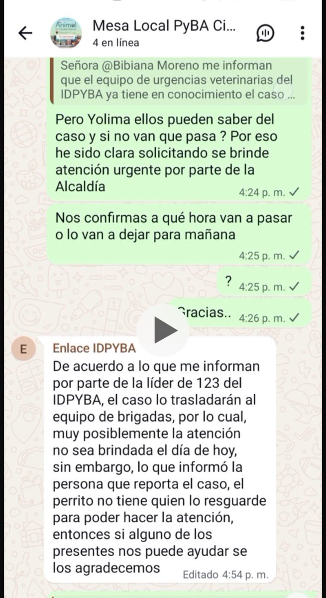 clarasandoval's tweet photo. Señores @AnimalesBog y @ALCBolivar ¿Cómo es posible que la Mesa Local Pyba esté desde temprano informando sobre este grave caso de urgencias y recientemente les digan que van pero otro día con una brigada?

La situación no da espera. Es una urgencia. Solicito acciones inmediatas ya.

Ojalá este abuelo, no muera solo, herido y entre la basura.