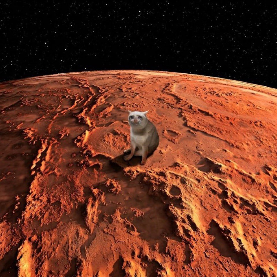the_unipics's tweet photo. Buy $cashcat at 68M &amp; $marscoin at 43M

Log out all summer, hold and outperform everyone.

Low cortisol trading. https://t.co/hlJ7wSEMy4