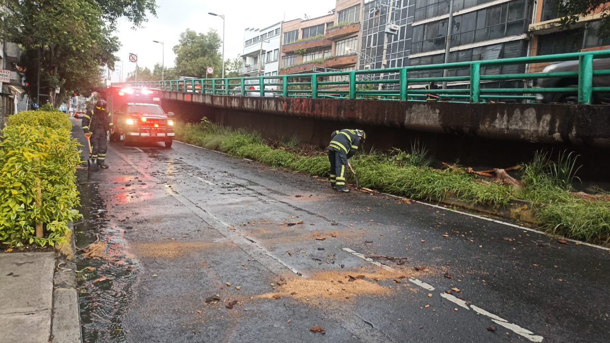 BlindarBJ's tweet photo. Servicios de emergencia de la @BJAlcaldia en coordinación con @Bomberos_CDMX atienden la caída de un árbol sobre el puente vehicular de Av. San Antonio, esquina Illinois, en la colonia Ampliación Nápoles.

Tomen sus precauciones al circular por la zona. https://t.co/dtEnWwPZh8