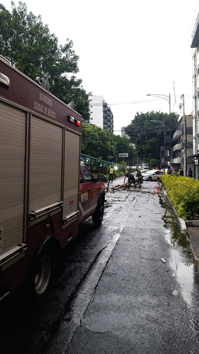 BlindarBJ's tweet photo. Servicios de emergencia de la @BJAlcaldia en coordinación con @Bomberos_CDMX atienden la caída de un árbol sobre el puente vehicular de Av. San Antonio, esquina Illinois, en la colonia Ampliación Nápoles.

Tomen sus precauciones al circular por la zona. https://t.co/dtEnWwPZh8
