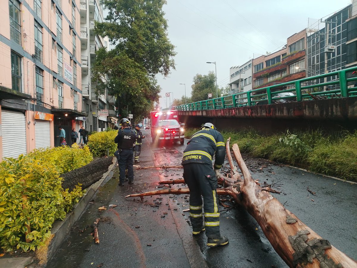BlindarBJ's tweet photo. Servicios de emergencia de la @BJAlcaldia en coordinación con @Bomberos_CDMX atienden la caída de un árbol sobre el puente vehicular de Av. San Antonio, esquina Illinois, en la colonia Ampliación Nápoles.

Tomen sus precauciones al circular por la zona. https://t.co/dtEnWwPZh8