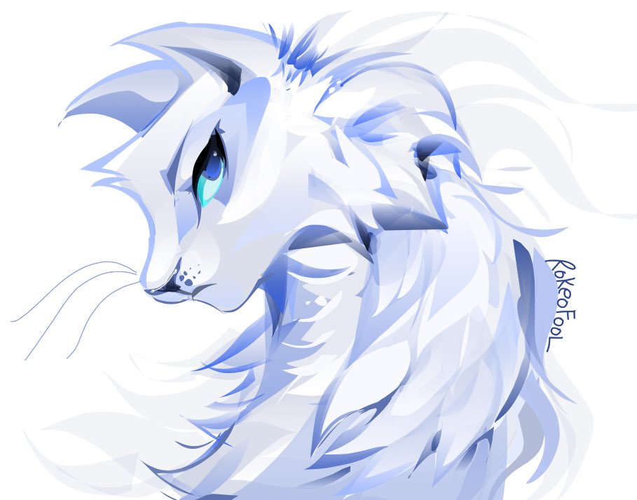 Rokeofooll's tweet photo. Clear sky 

#warriorcats https://t.co/YjKpCH4YdA