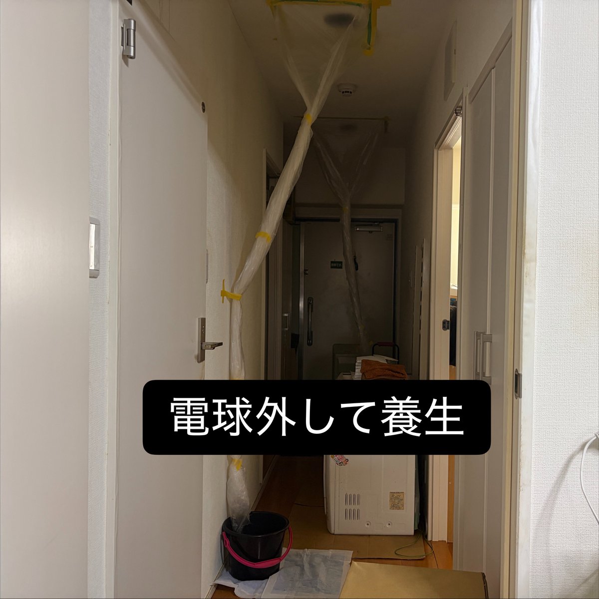 m_river733's tweet photo. 😭😭😭
今後は上階の対応終わってから
電気つかないのちょこっと不便やな https://t.co/iu30oYjx7U