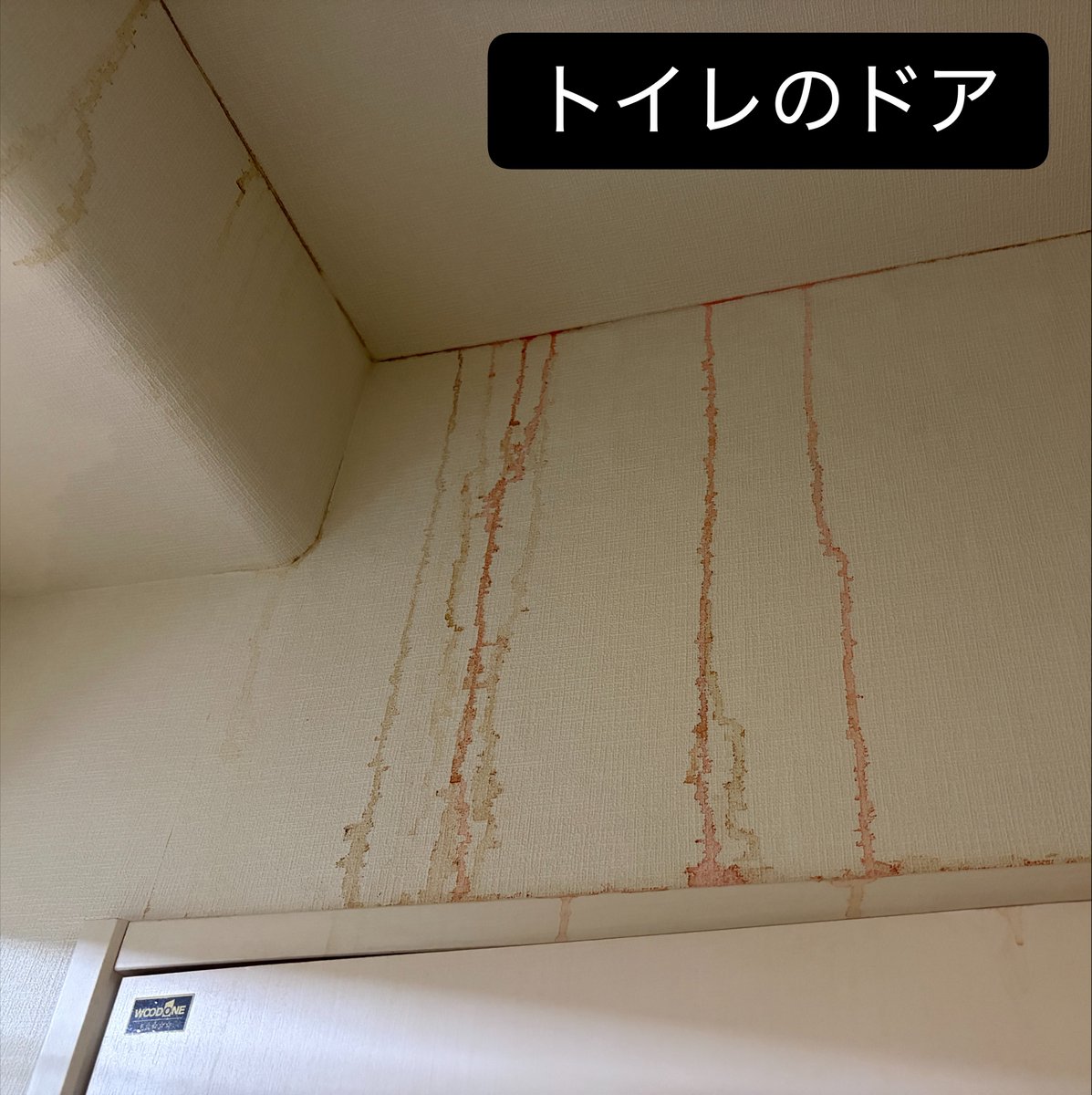 m_river733's tweet photo. 😭😭😭
今後は上階の対応終わってから
電気つかないのちょこっと不便やな https://t.co/iu30oYjx7U
