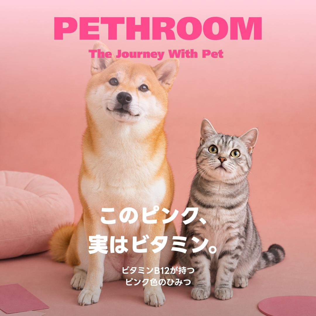 pethroom_jp's tweet photo. このピンク、実は着色料じゃないんです😳✨

その秘密は、ビタミンB12💖

気になった方は、ぜひ成分表示をチェックしてみてください👀🔍

#犬用シャンプー
#猫用シャンプー
#ペットシャンプー
#犬好きさんと繋がりたい
#猫好きさんと繋がりたい
#ペットケア
#PETHROOM
#ペスルーム https://t.co/DSDpyDFeoe