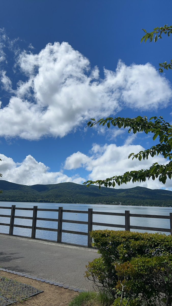 ya2Kass's tweet photo. 最高 https://t.co/PCa8Bbnqff