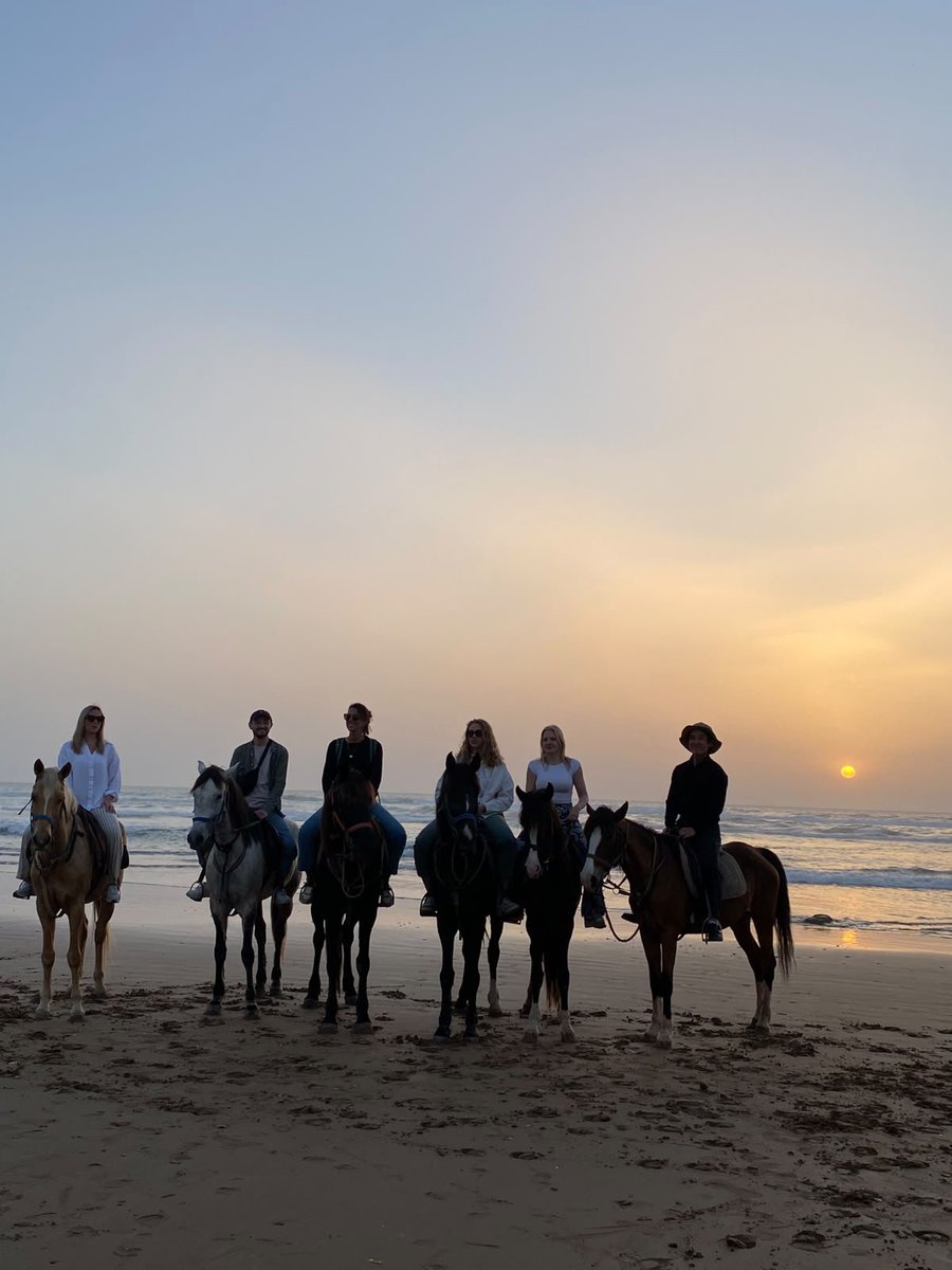 ChevalZina47294's tweet photo. تجربة ركوب الخيل في اورير تغازوت تمراغت أكادير المغرب رقم الواتساب 212660739222 https://t.co/G87NhMWxAk