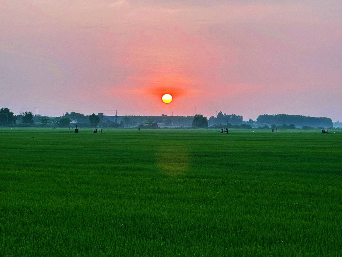 Bemon520's tweet photo. Buổi sáng ở quê nhà là một điều gì đó rất đặc biệt. Ngày mới an lạn nhé cả nhà X https://t.co/5P5BN3X6J8