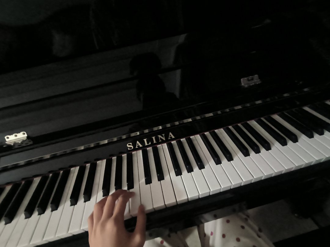 Sakura_morn's tweet photo. 아침의 아름다운 선율이 새로운 하루를 깨워요. https://t.co/WJLU75PH5B