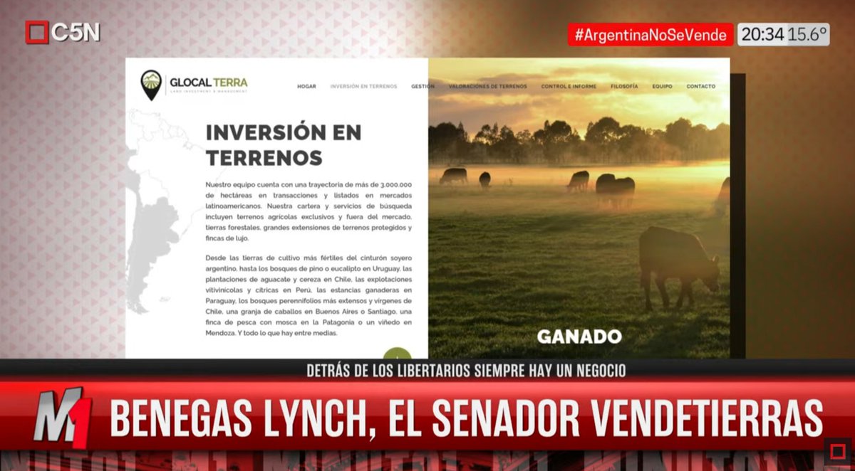 psiconautadel72's tweet photo. @JMilei El presidente de Brasil, no traiciona a su pueblo vendiendo tierras con recursos, no se arrodilla ante USA, es un pais libre, no como la Argentina que la convertiste en colonia. Y ahora la estas rematando. 

La ley le convenia a la empresa de Benegas Lynch? https://t.co/3XTmXxVPuI