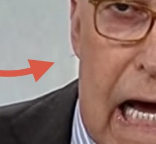 thebluntrectum's tweet photo. @larry_kudlow that makeup artist did you dirty. There’s a full-blown ganglion of a hair swinging off your earlobe like it’s trying to get its own segment.

@greggutfeld @PlanetTyrus @KatTimpf @jamie_lissow @FoxNews somebody on set needs to take one for the team and snip that thing before it starts giving economic commentary.