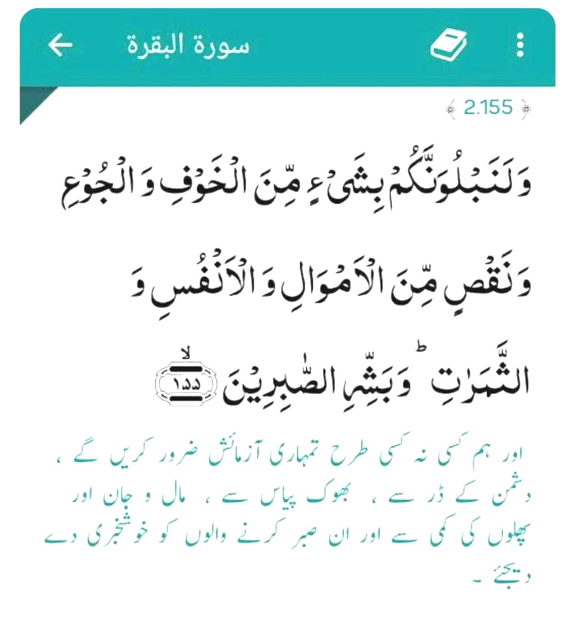 SabirMuhammad50 tweet picture
