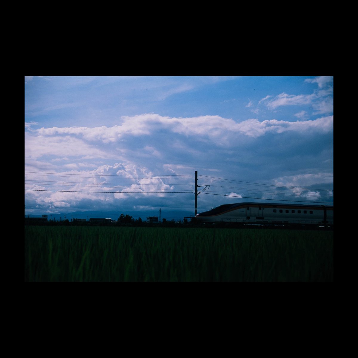 srkm_127's tweet photo. #PROVIA100F https://t.co/bhY1ewA6X5