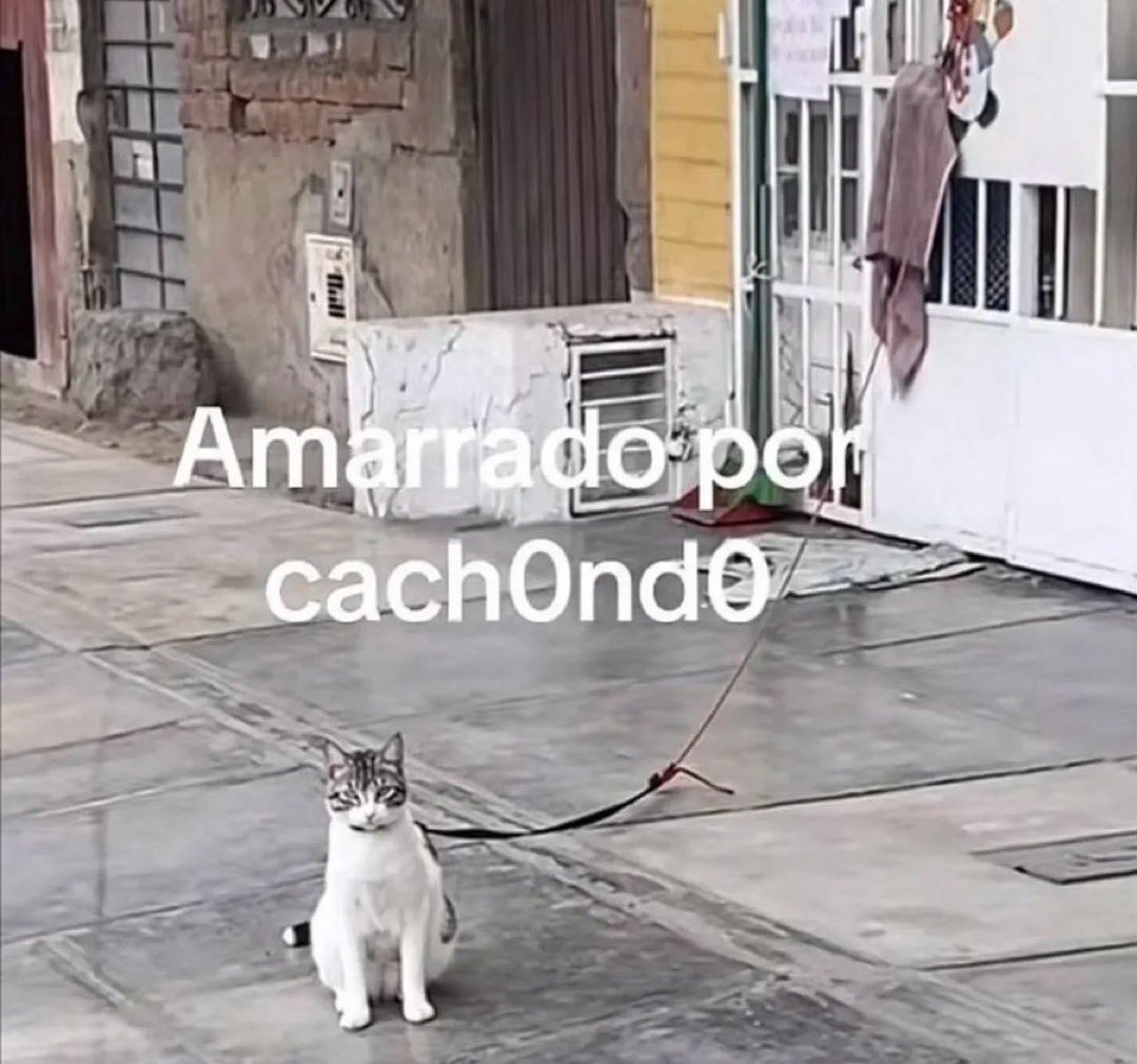 gabrrlgh's tweet photo. podría ser yo https://t.co/kmXF0PK3MF
