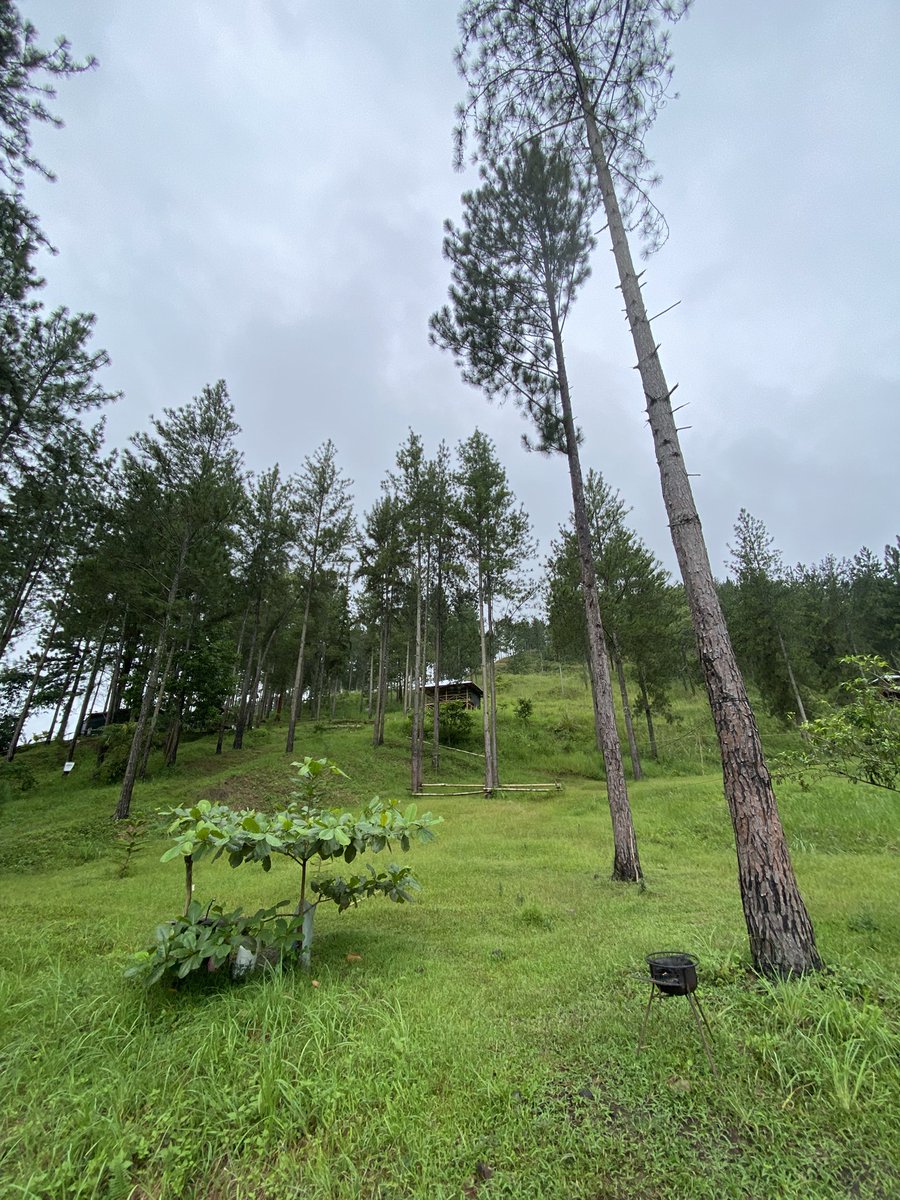 vacious_09's tweet photo. 🌲🥙🏔️ https://t.co/i1CScvOIvz