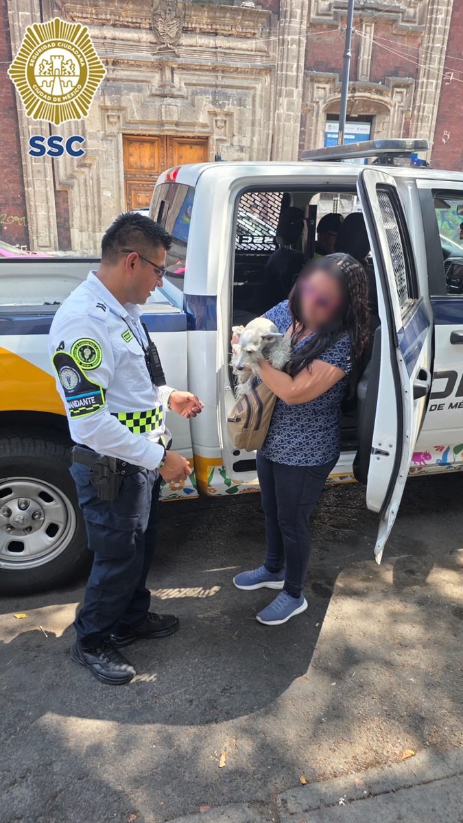 SSC_CDMX's tweet photo. #BoletínSSC | #RescateAnimal | En calles del #CentroHistórico, en la alcaldía @AlcCuauhtemocMx, personal de la Subsecretaría de Control de #Tránsito de la #SSC rescató y resguardó a un perrito que fue atropellado por un vehículo, y le fue entregado a su dueña.

Los hechos sucedieron mientras los oficiales realizaban sus labores de vialidad en la esquina de la avenida 5 de mayo y el Eje Central Lázaro Cárdenas, cuando observaron a un lomito que corría entre los carriles fue atropellado por un vehículo.

De inmediato un oficial se le acercó con todos los cuidados necesarios, lo resguardó y tranquilizó con caricias y lo puso en un lugar más seguro, en ese momento se presentó una persona, quien manifestó ser su dueña. https://t.co/pmqbl9qTOQ