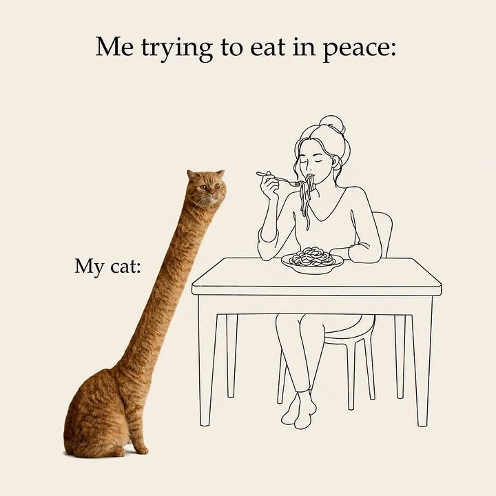 be_my_lunch's tweet photo. https://t.co/op2ZTgJKy3