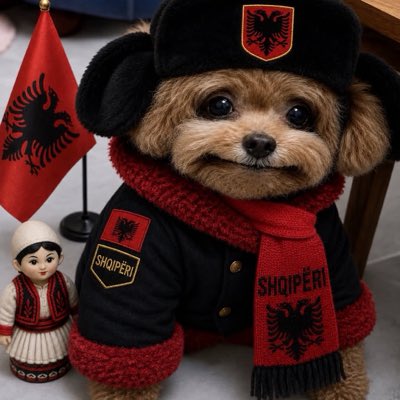rxaqt's tweet photo. #NewProfilePic new PROFILE PIC https://t.co/ScrEKhvroM