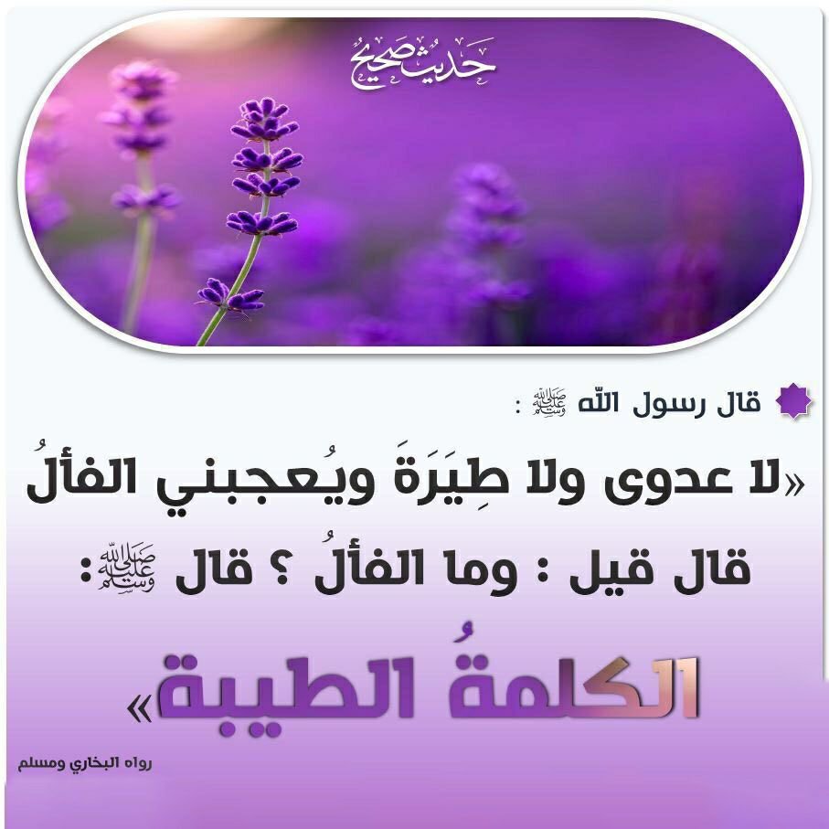 Elsayednasef05's tweet photo. 🌴قال رسول الله ﷺ{بلغوا عني ولو آية}.📣بلغوا👈تكليف👈 عنى👈 تشريف👈ولو آية👈تخفيف 📚👇#داعم_للخير
#انشر_تؤجر https://t.co/DFrSQEfPOQ