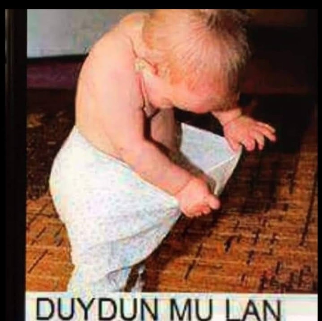murat10comtr's tweet photo. @1cumle1soz @fenereditfb https://t.co/kQePSGPEcr