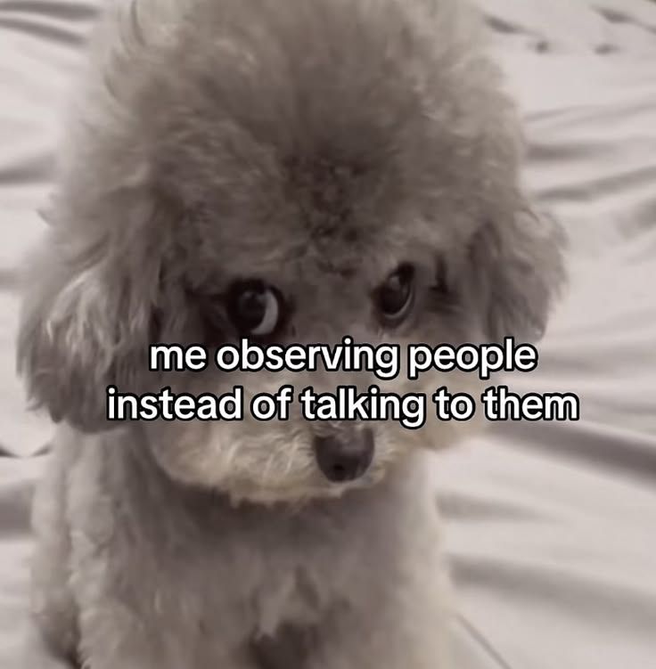 ADHDForReal's tweet photo. https://t.co/ZxzIt0tjb9
