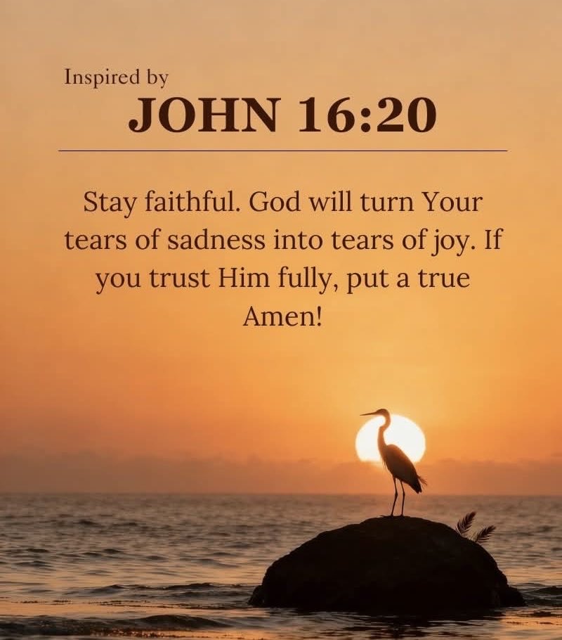 JesusChristsGod's tweet photo. John 16:20
20 Very truly I tell you, you will weep and mourn while the world rejoices. You will grieve, but your grief will turn to joy. https://t.co/ixQkmTuDmC
