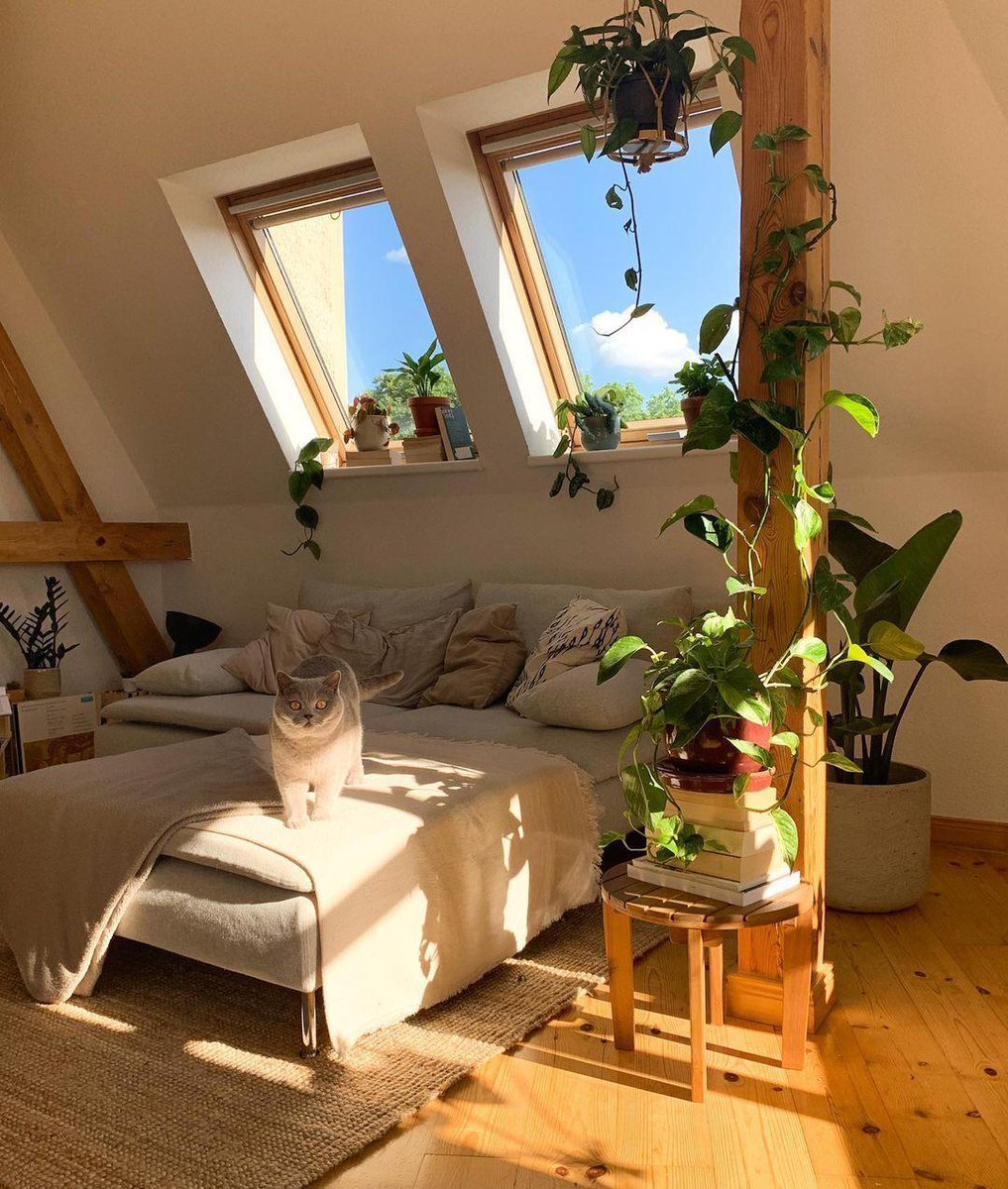 PagMariagsch's tweet photo. Woke up to soft sunlight filtering through the curtains, a warm cup of oat latte in hand, and my cat curled on the couch—this is the kind of perfect slow Sunday no one tells you about. https://t.co/1dfk2ejFgH