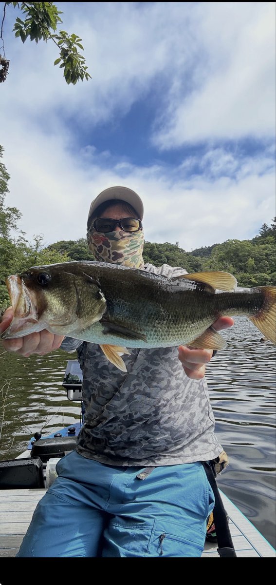phvmyv's tweet photo. 三島湖2日目
前日とは打って変わってカバー直下にバス中々入っていない😳
攻め方を変えて岩盤にシフトが正解で連発！
サイズを気にしないならめちゃくちゃ釣れる🐟
#三島湖
#ともゑボート
#房総リザーバー https://t.co/LT22JTItvz
