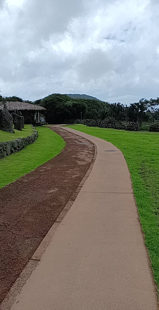 PrtabsinghA's tweet photo. Growth isn't about staying perfect—it's about choosing to try again, even when you stumble. Small steps forward beat standing still, every single time. https://t.co/JZN4iTD3YX