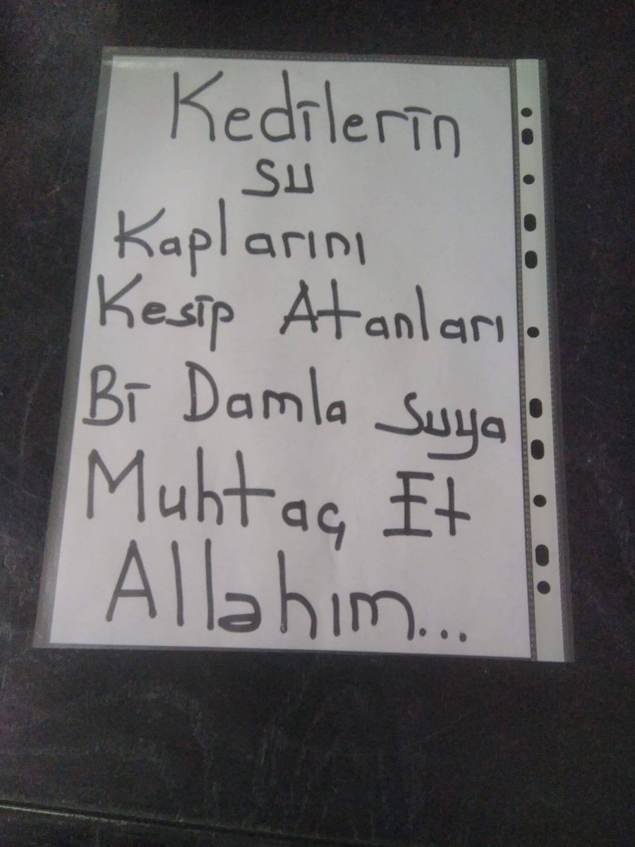 bisikletsizadam's tweet photo. Amin 🤲

#SokakHayvanlarıSahipsizDeğil https://t.co/z30gLbMhub