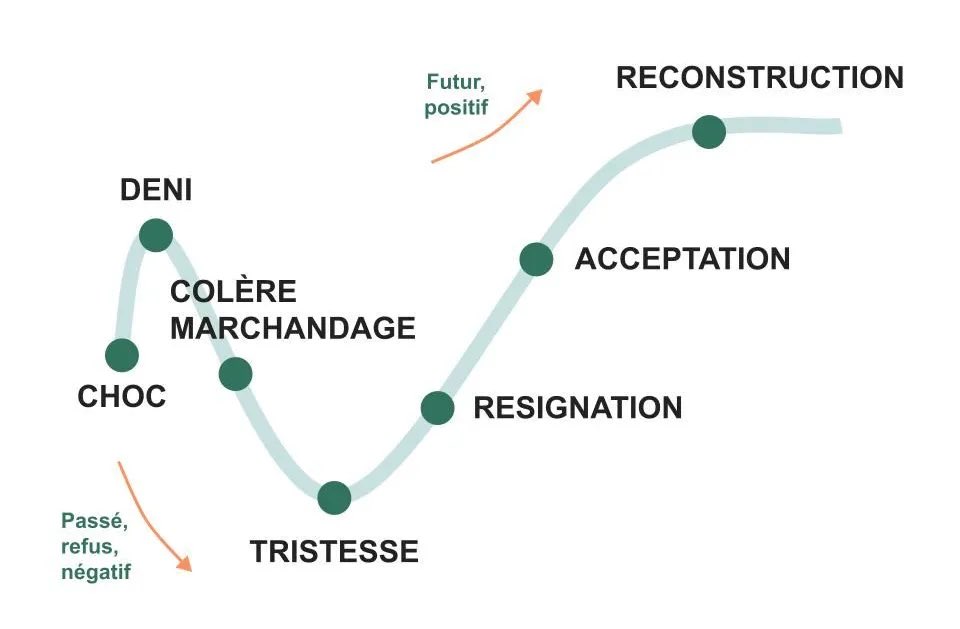 El_toulous1's tweet photo. Je pense que je vais rester pendant longtemps dans la phase du déni. 
Surtout qu’il reste une belle saison à faire avec Ramos.

#stadetoulousain https://t.co/BmQNdod1jK