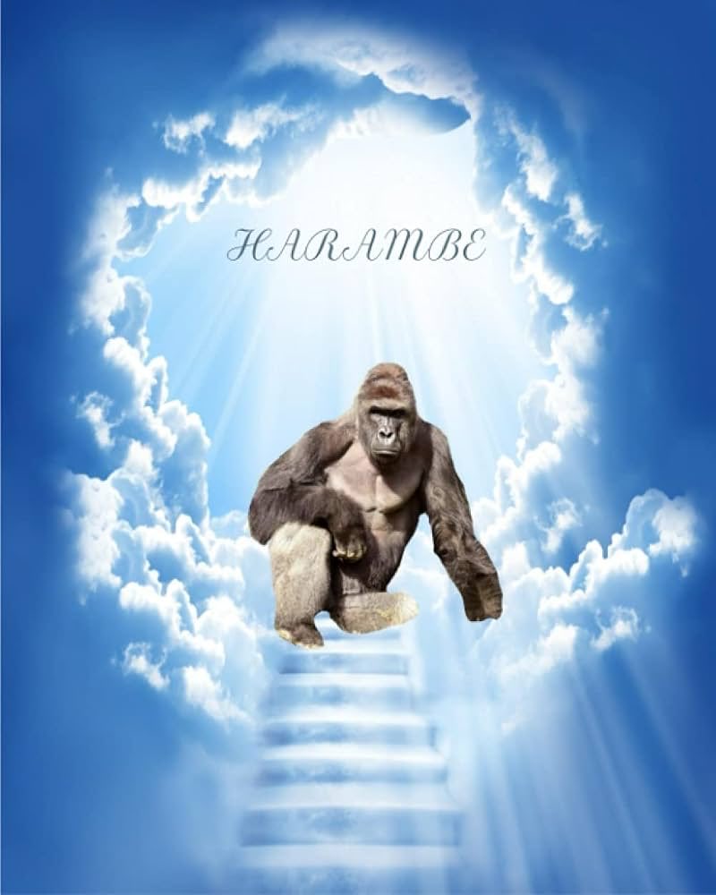 TheDickCoin_'s tweet photo. solana:6pioT4Wv2WkJKaCXPH9B6JXXU4yEwm8whmwtZWDUpump out for harambe https://t.co/YzpxF14fiE