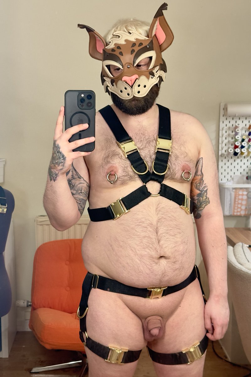 LynxCuddles's tweet photo. catch me at animalz in manchester this weekend being kitty cat https://t.co/aXp8dr1E4p