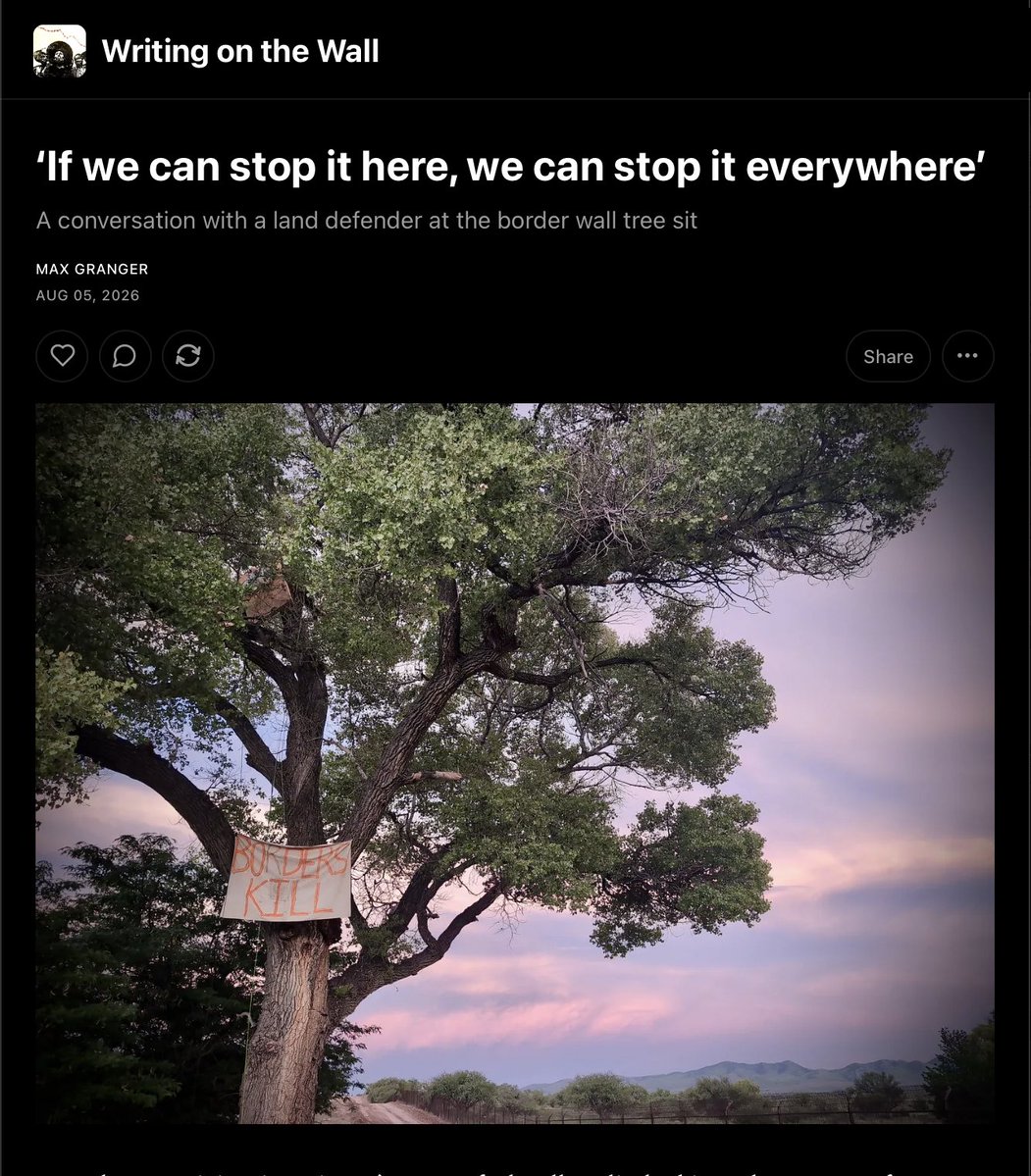 _maxgranger's tweet photo. In Arizona's San Rafael Valley, a tree sit has blocked border wall construction for eight days and counting. I interviewed one of the land defenders on the ground. https://t.co/yDKXasJV4V