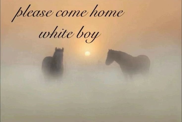 sweeteneryan's tweet photo. stacy clausen come home the kids miss you https://t.co/ssg4VvXsM1