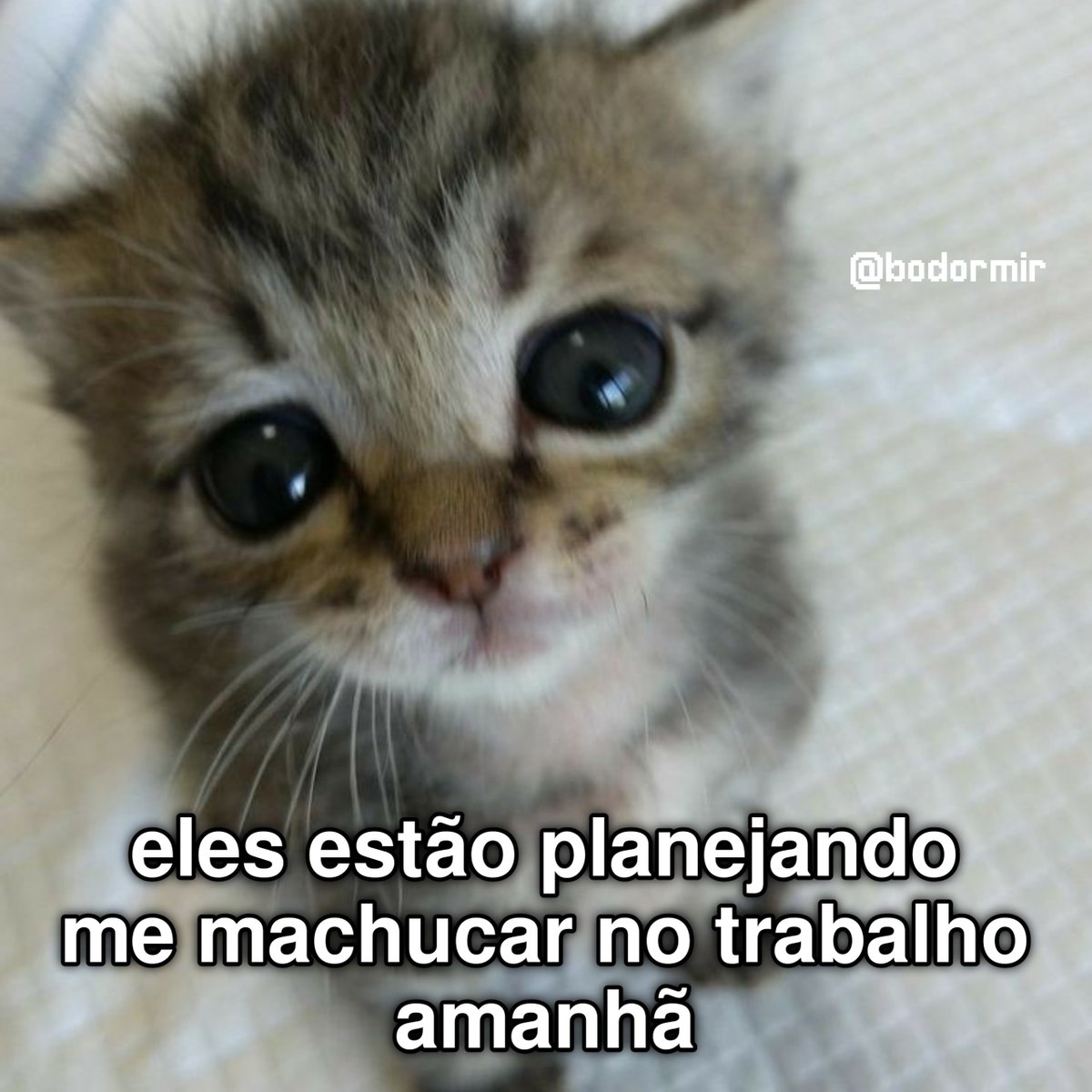 bodormir's tweet photo. https://t.co/NsaJ4Zvj3P