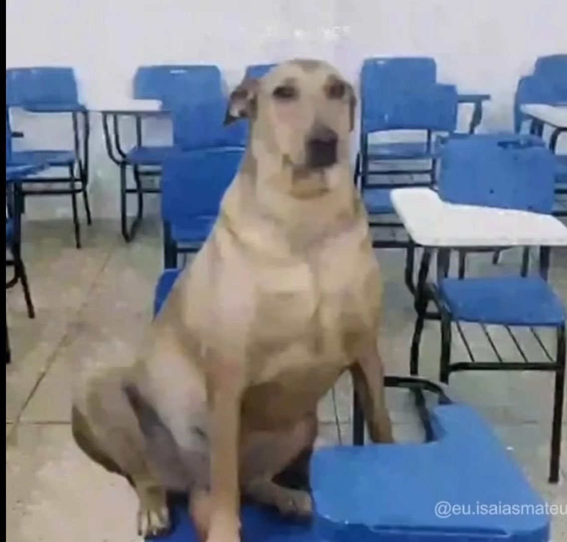 Karol587781's tweet photo. Se você é jovem, solteiro e sem filhos, simplesmente não tem data comemorativa para você além do seu aniversário, deixei de ser se considerada criança aos 14 ( me deram lembrancinhas até essa idade) e agora estou em um vácuo até arranjar um namorado https://t.co/ennOEF3eB1