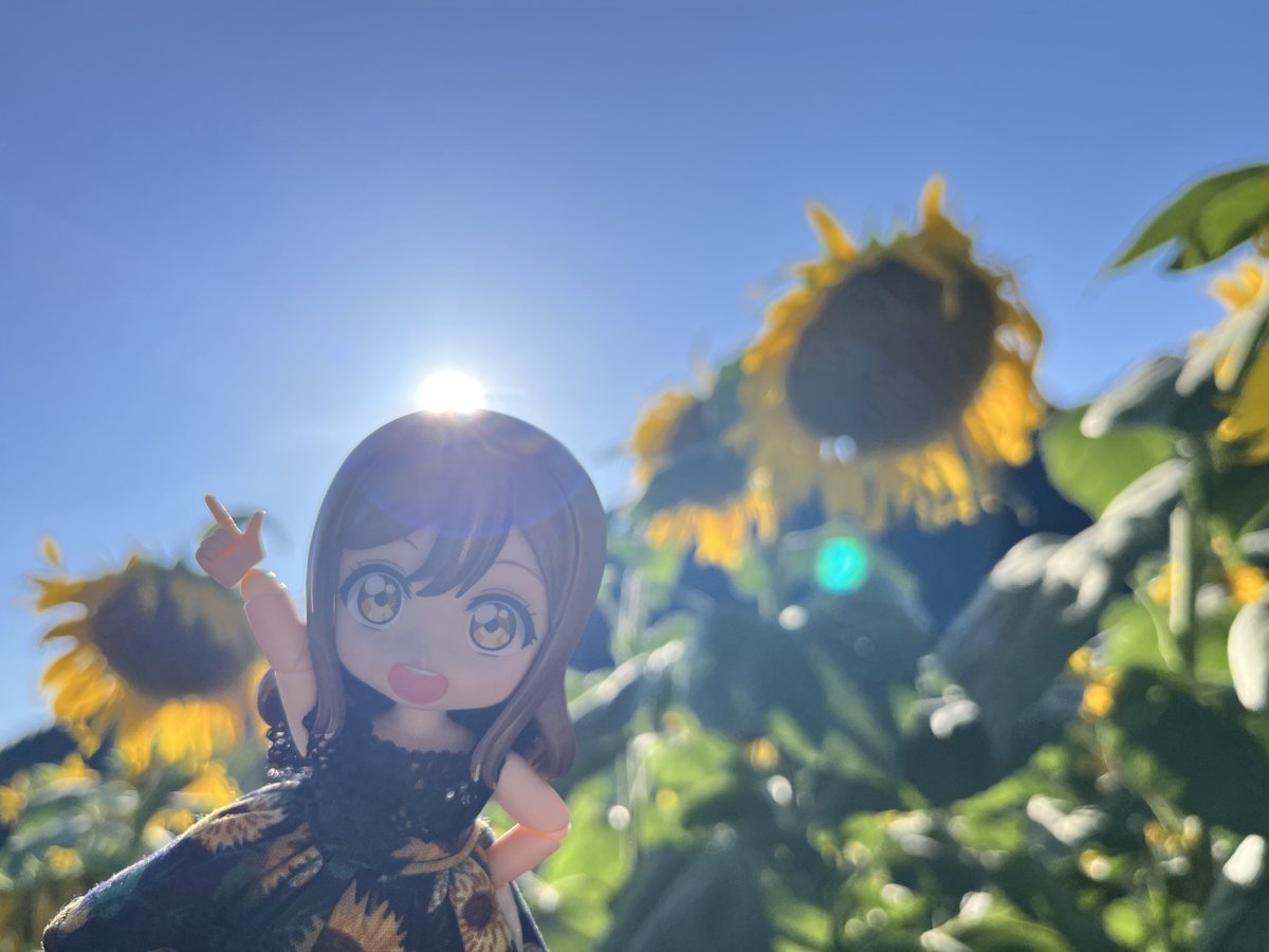 BANSHEE_02's tweet photo. おはようございマルちゃん💮🌻☀️

宿直明けの朝で眠いけど今日もお仕事頑張っていきましょう✨️

今日も一日行くずらぁ〜💮 https://t.co/BveWBgfi8s