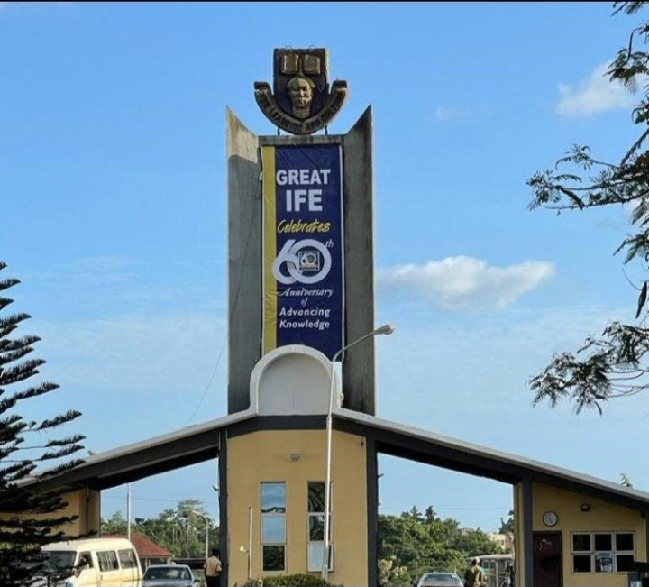 GreatIfeStory's tweet photo. History is preserved one story at a time.

The Great Ife Chronicles continues...

Follow @GreatIfeStory and journey with us as we uncover the complete history of Great Ife.

#GreatIfe #OAU #UniversityOfIfe #IleIfe #History https://t.co/g3wvvLBVaP