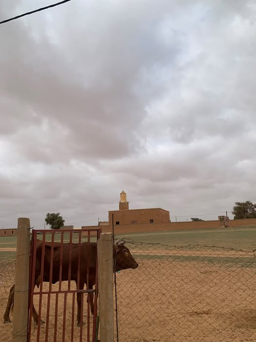 alazhralhazinuh's tweet photo. اجواء الخريف في قريتنا الحبيبه علب اجمل  
زر الدشرة من هوك https://t.co/AZ3e4araZ2