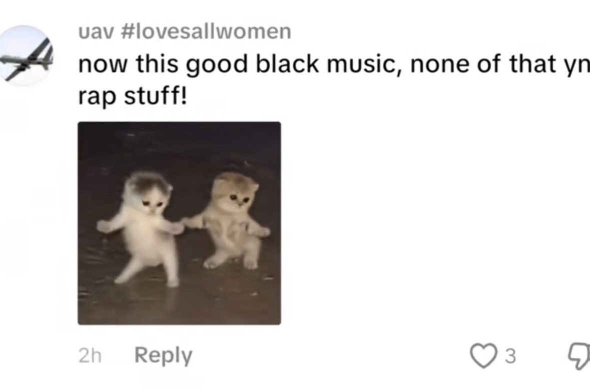 ruihndrxxtt's tweet photo. @akawallsocket @countdragons since keep me going dropped so many racist dorks invaded slayr’s fanbase, making comments like this https://t.co/FAwGGPQRS5