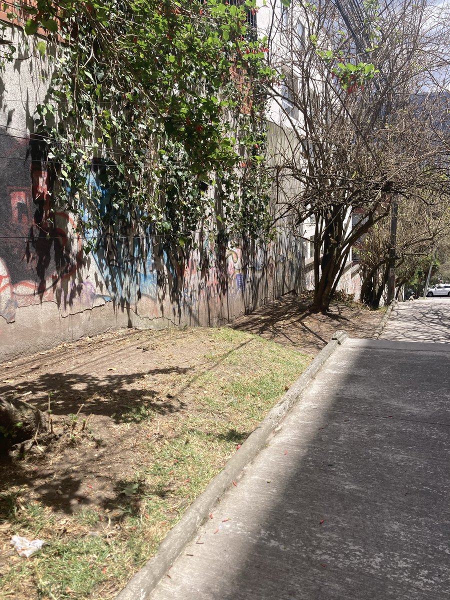 samisaya's tweet photo. @ObrasQuito Buenas tardes, agradecemos la poda y limpieza de la hierba de las gradas /pasaje Ernesto Noboa Caamaño, parterre y veredas de la calle Whymper, hace mucho tiempo que está sin atención. Muchas gracias. https://t.co/LZ7vXobFJU
