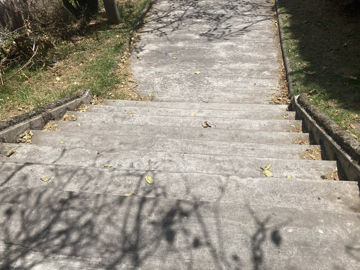 samisaya's tweet photo. @ObrasQuito Buenas tardes, agradecemos la poda y limpieza de la hierba de las gradas /pasaje Ernesto Noboa Caamaño, parterre y veredas de la calle Whymper, hace mucho tiempo que está sin atención. Muchas gracias. https://t.co/LZ7vXobFJU