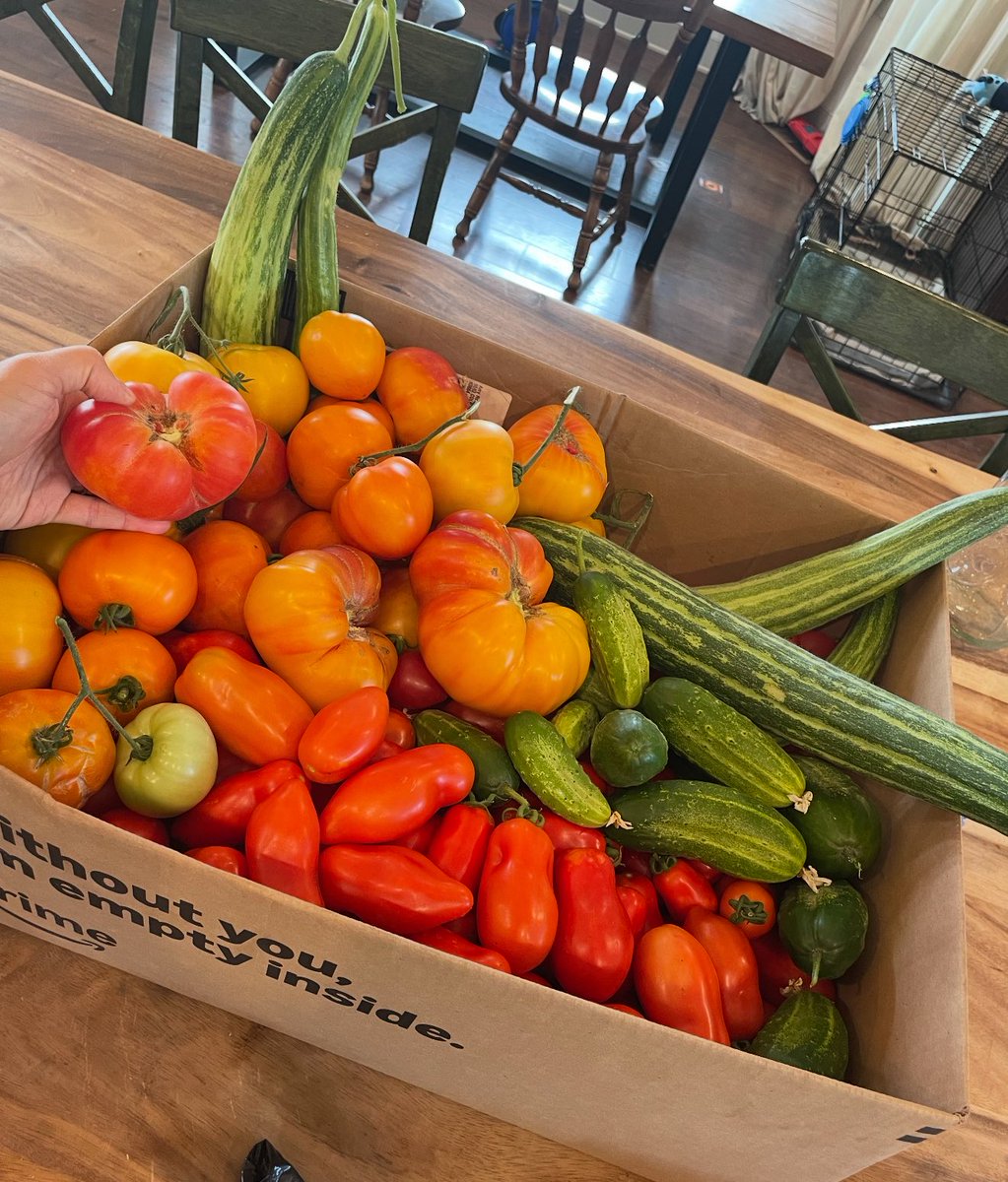 OwenBenjamin's tweet photo. This is what we picked today. Obviously I understand why people say “must be nice, no one else has dirt.”

Our main garden is 1/8th of an acre. Cows, goats and alpaca are on the majority of our land. We can grow thousands of pounds of tomato’s in 4 raised beds that are 3 ft by 8 ft. Each tomato has hundreds of seeds for more plants. 

If time is the issue just take 1% of the doom scrolling/porno time and you’ll have more than enough to get started. 
They don’t care that you bitch. They want you sick and angry. The only time they’ll notice you is if you don’t need them anymore and by that time you won’t care