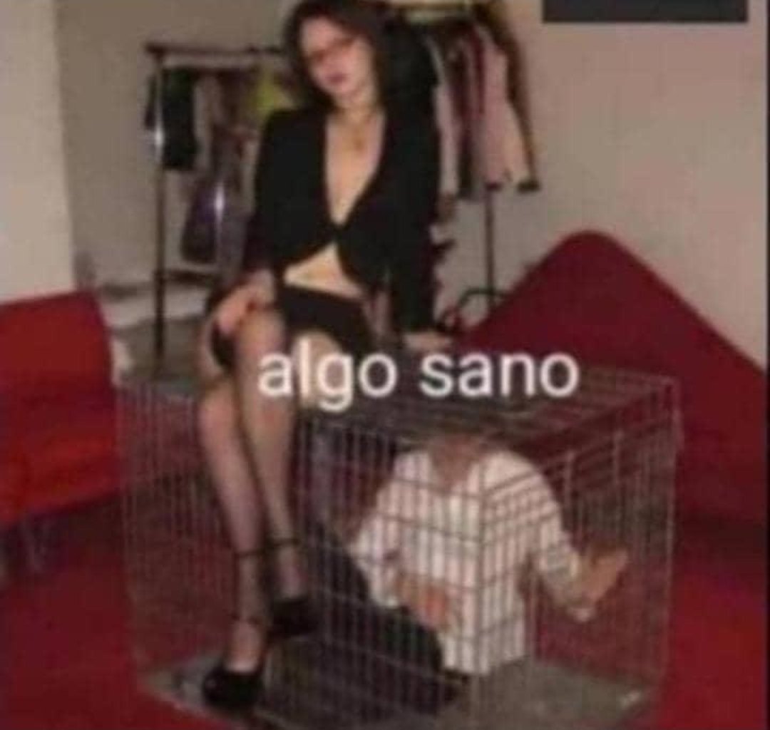minizukih's tweet photo. cuando le digo "hace lo q quieras" y termina haciendo lo q yo quiero... así hay q tenerlos https://t.co/Cl7hXpblDo